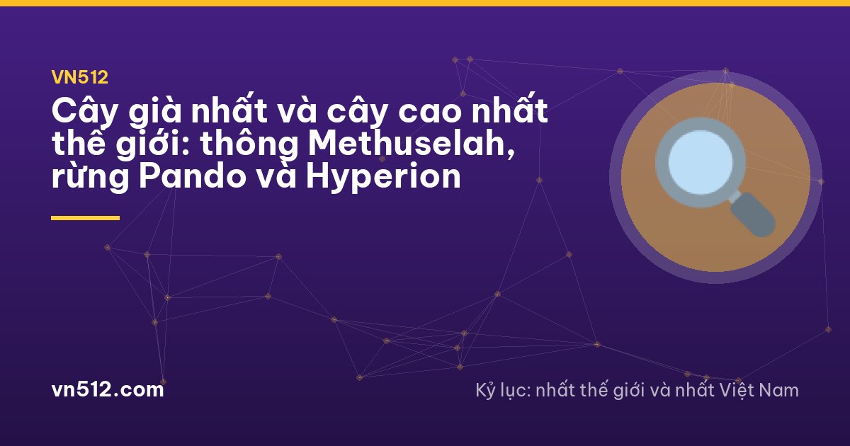 Gnarled ancient bristlecone pine twisted by wind on a bare rocky slope at sunset, low angle from the ground, warm orange light on pale weathered wood, deep blue sky